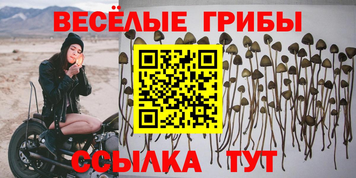 Псилоцибиновые грибы мицелий  где можно купить   Ижевск  Галлюциногенные грибы Psilocybe  Вход с VPN 